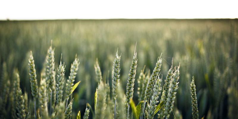 OKCZX信息门户：洞悉时事脉搏，打造智慧新闻生态