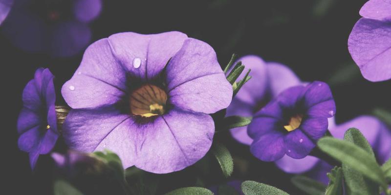 OKCZX视角下的新闻报道：如何通过事实核查与背景构建提升深度报道公信力