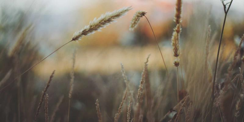 从纸媒到OKCZX：新闻报道的演进与未来