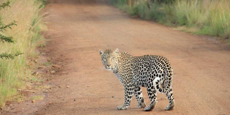 从铅字到算法：新闻传播史视角下的媒介变迁与影响力演变