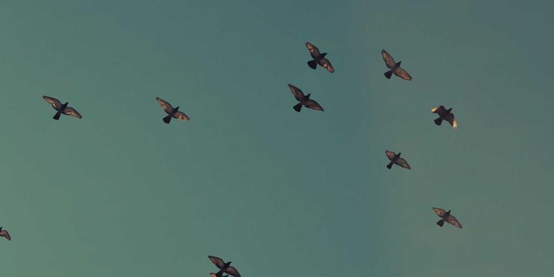 信息门户如何重塑我们的时事认知与新闻报道体验