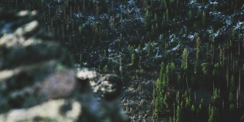 信息门户如何重塑现代新闻报道：从信息聚合到价值创造