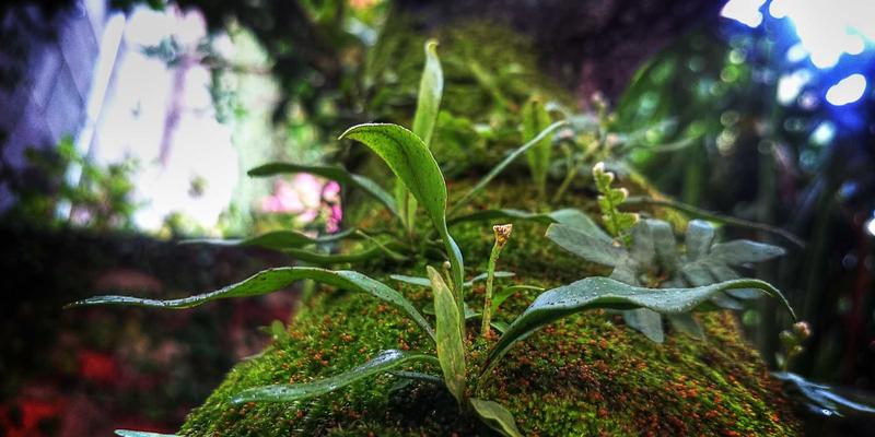 信息门户时代：掌握新闻评论的写作技巧与舆论引导作用