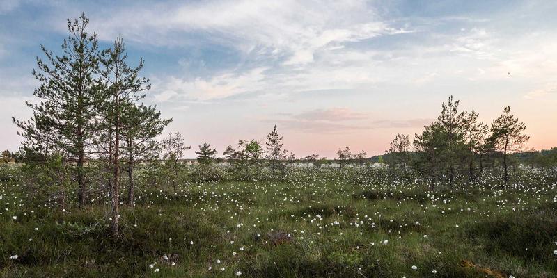 信息门户时代新闻评论的写作艺术：如何打造有思想深度的观点专栏