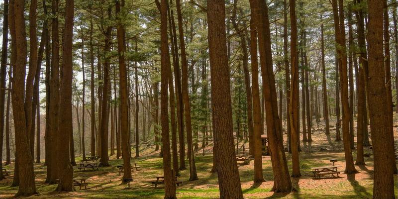 信息门户的范式转移：Substack崛起如何重塑时事媒体人才结构