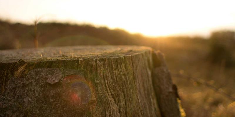 数据新闻的叙事革新：如何用可视化讲好复杂时事故事