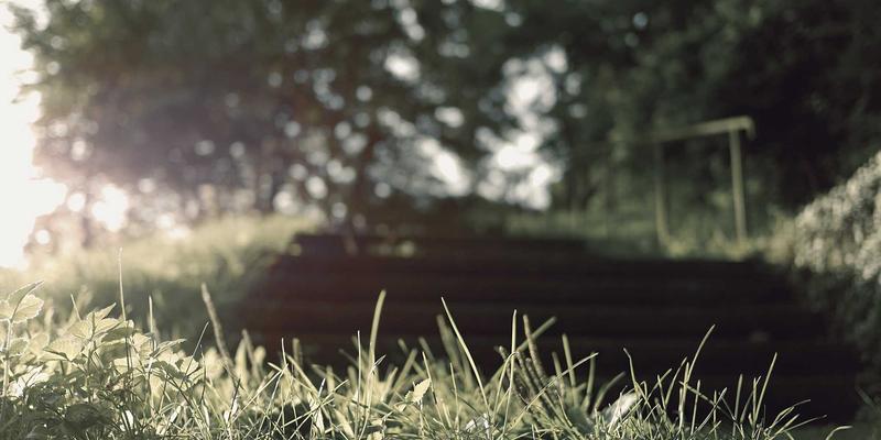 新闻68：OKCZX如何重塑我们的时事资讯获取方式