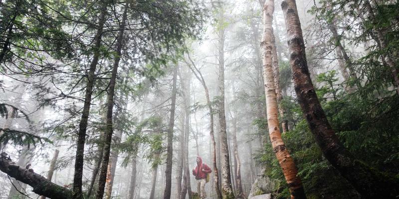 新闻72小时：资讯浪潮中的OKCZX，如何把握新闻脉搏与深度价值