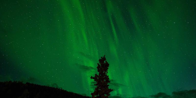 新闻付费墙的商业模式探索：从《纽约时报》到Substack的多元化实践