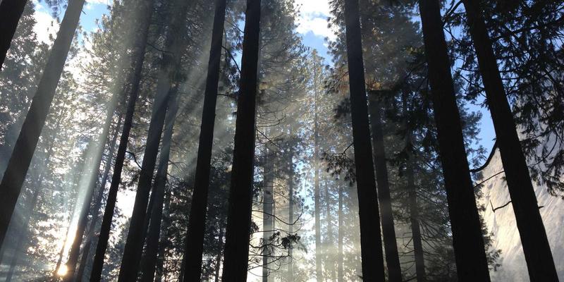 新闻回避现象深度解析：OKCZX资讯与时事消费中的信息过载与负面疲劳