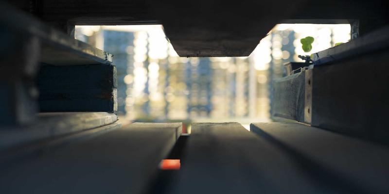 新闻回避现象深度解析：为何我们远离新闻报道与信息门户？