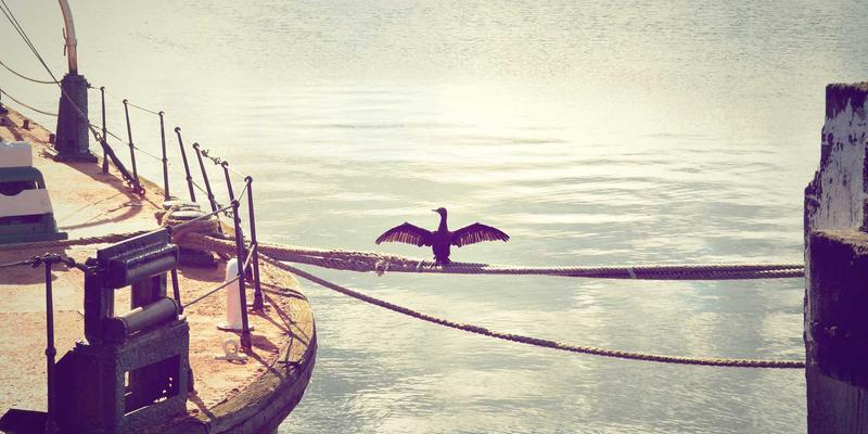 新闻报道的未来：从OKCZX看信息门户的变革与前景