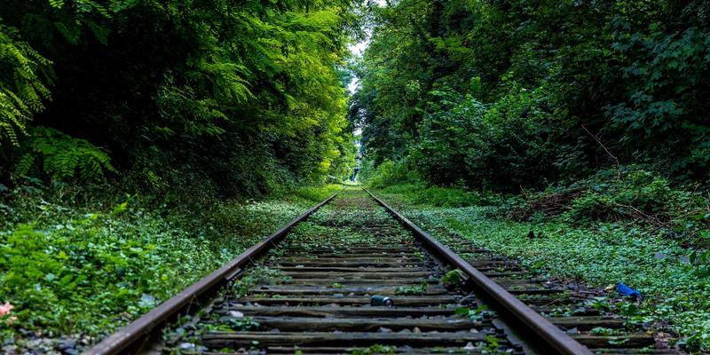 新闻报道的深层变革：从OKCZX看媒介融合的传播学逻辑