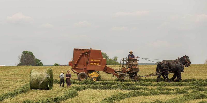 新闻编辑室的多元化：为何背景不同的记者团队能产出更公正的报道 | OKCZX视角
