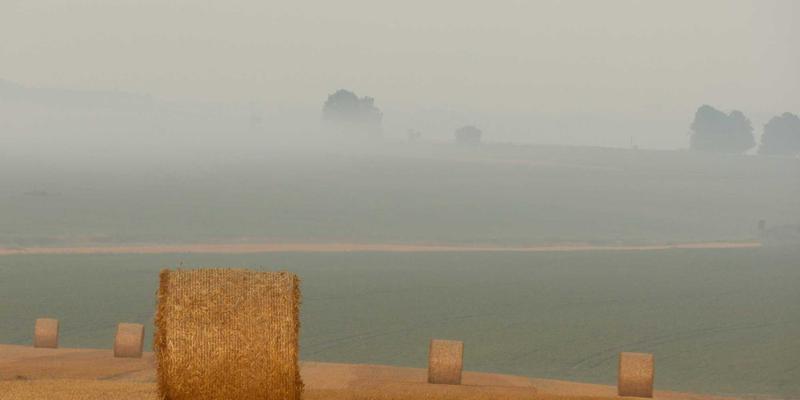 资讯聚合新时代：如何选择一款满足你时事需求的新闻应用